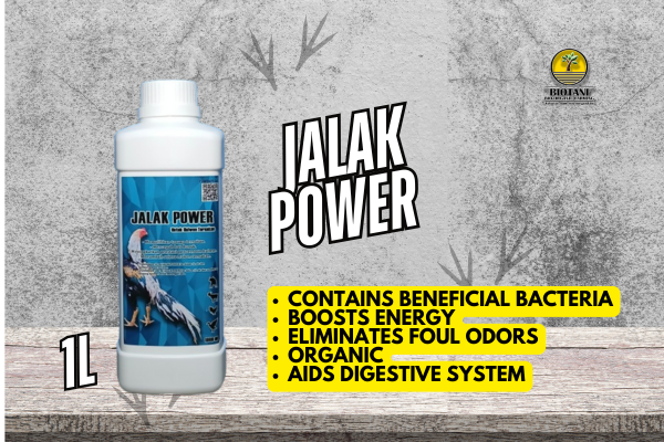 Probiotics (Effective Microorganisms)